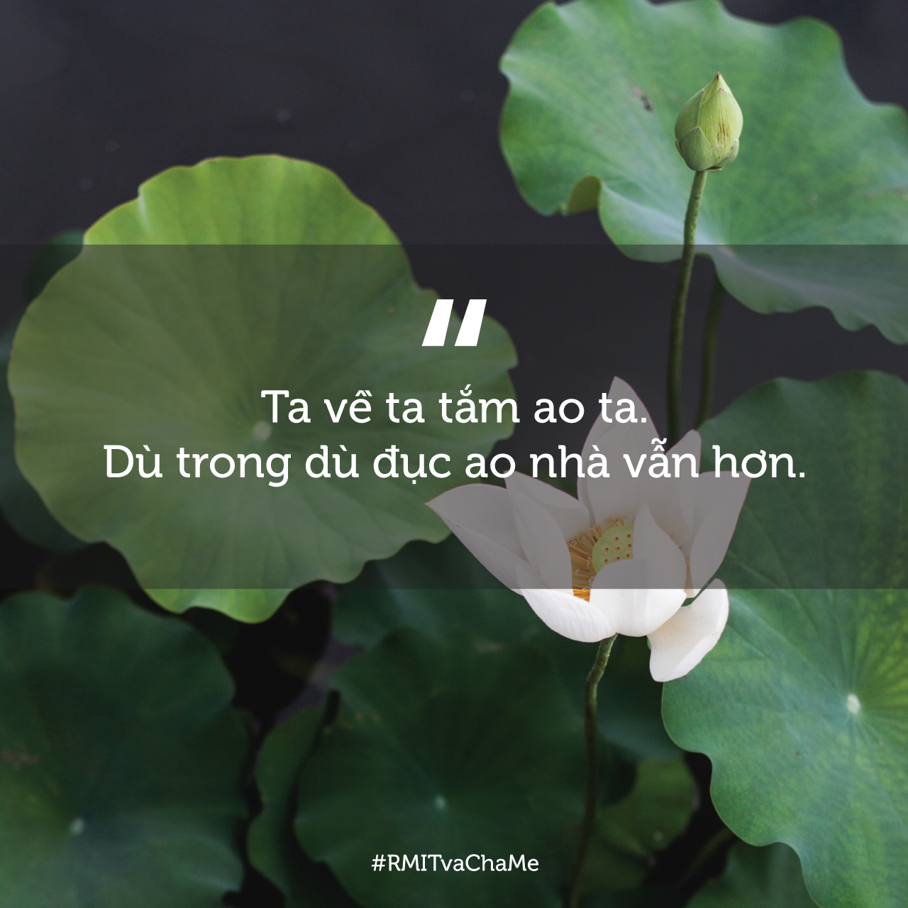 Có nên để con tắm ao ta?