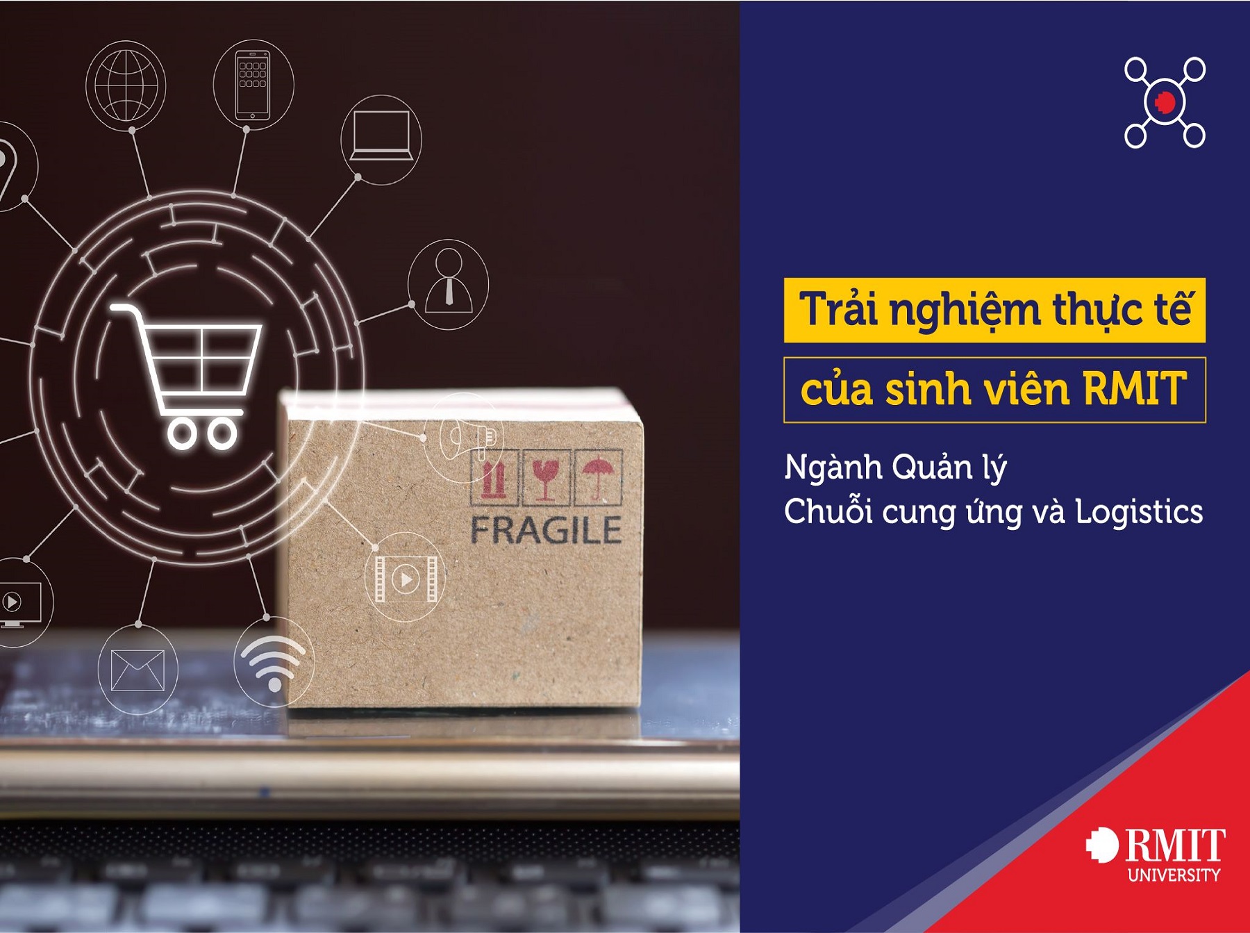 Trải nghiệm thực tế của sinh viên ngành Quản lý Chuỗi cung ứng và Logistics