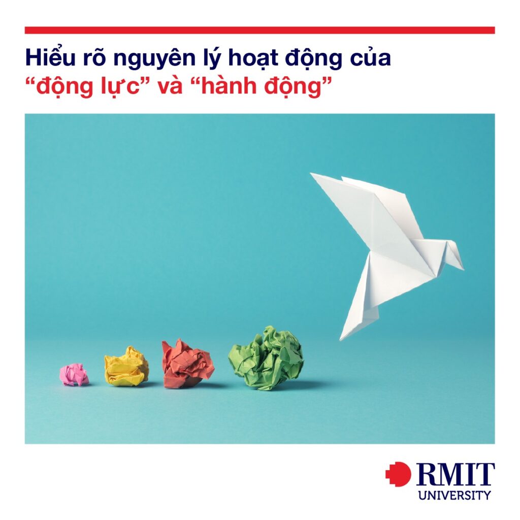 dong-luc-va-hanh-dong-rmit-hay-lam-gi-do