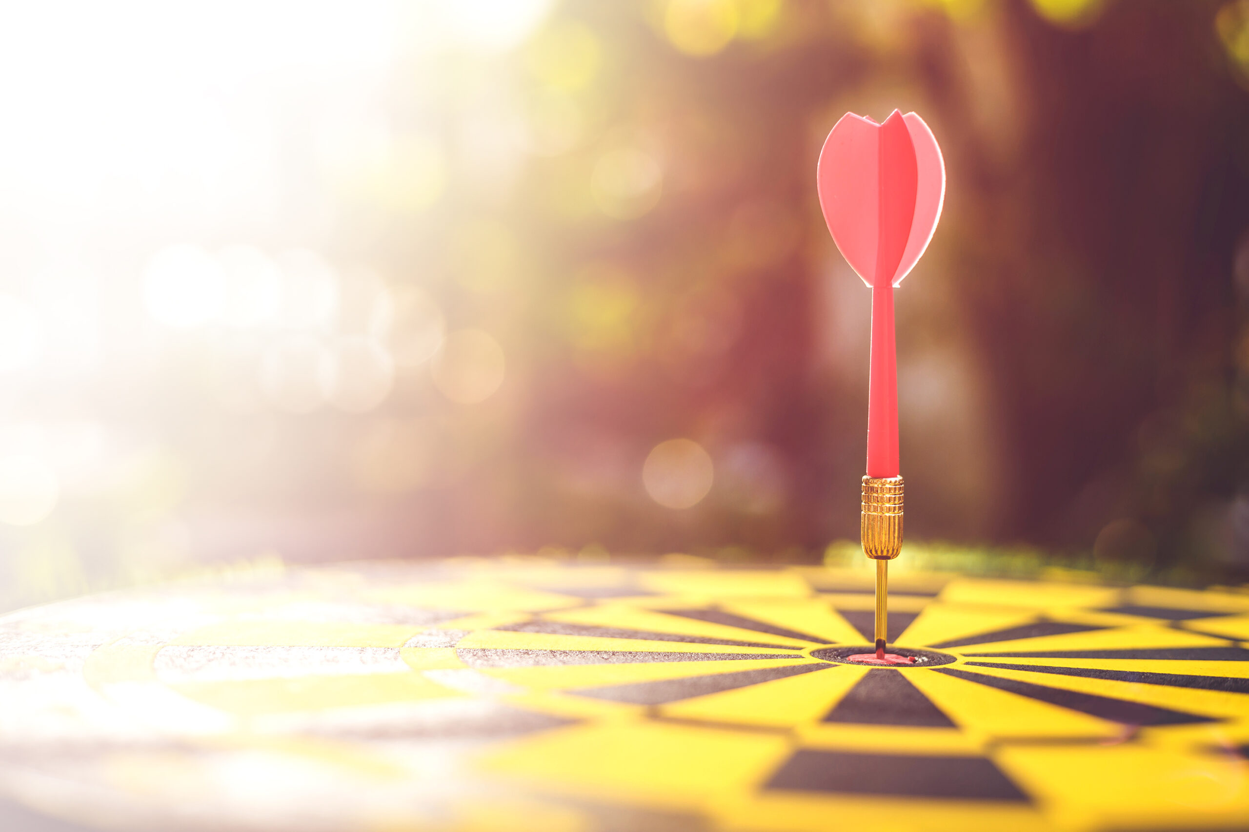 mucitue-banh-lai-cuoc-doi-rmit